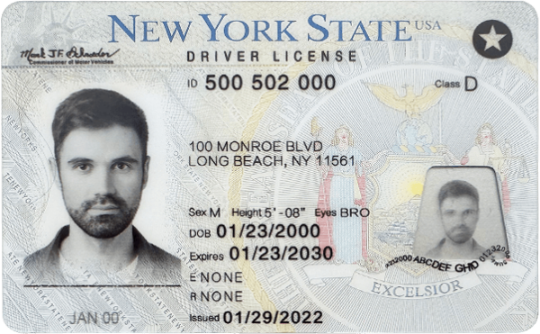 NY Fake ID